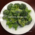 Premium quality frozen broccoli with good price